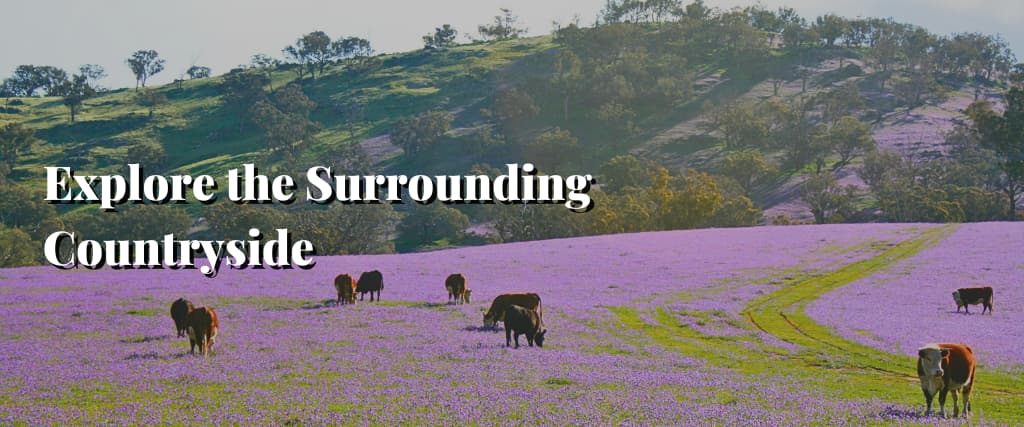 Explore the Surrounding Countryside