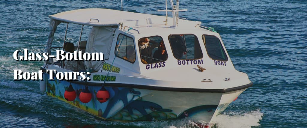 Glass-Bottom Boat Tours
