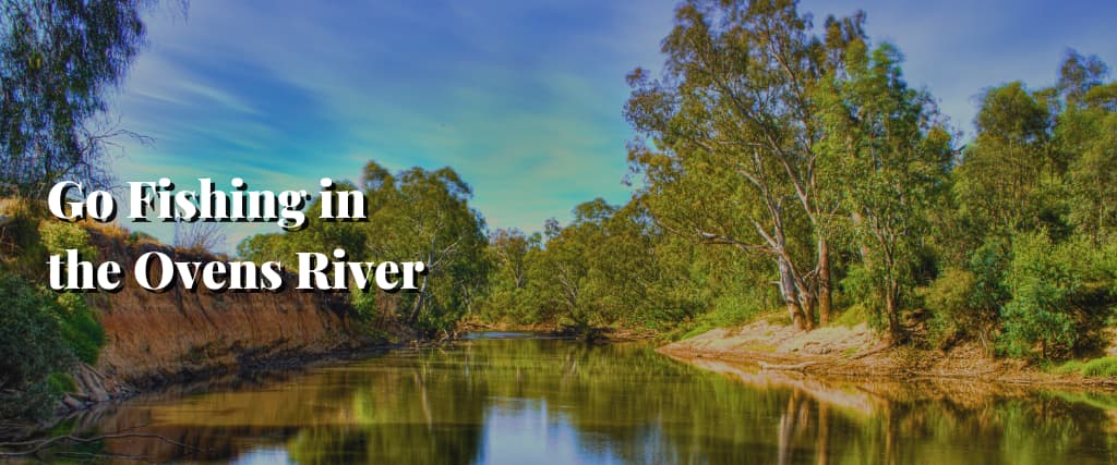 Go Fishing in the Ovens River