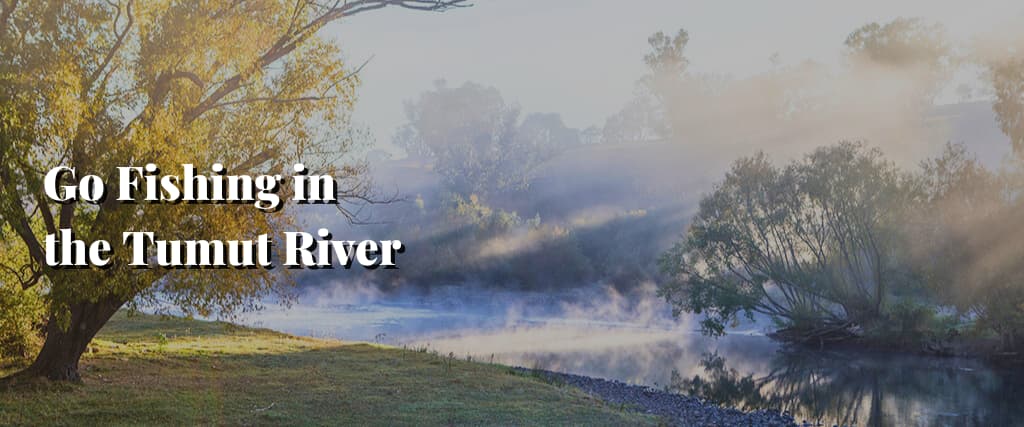 Go Fishing in the Tumut River