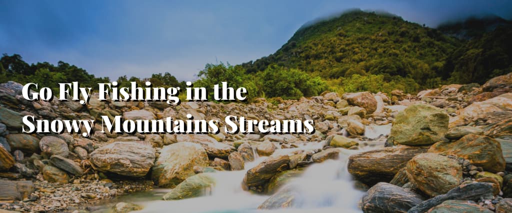 Go Fly Fishing in the Snowy Mountains Streams