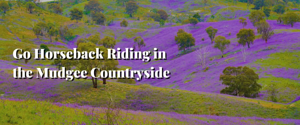 Go Horseback Riding in the Mudgee Countryside