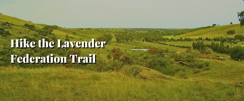Hike the Lavender Federation Trail
