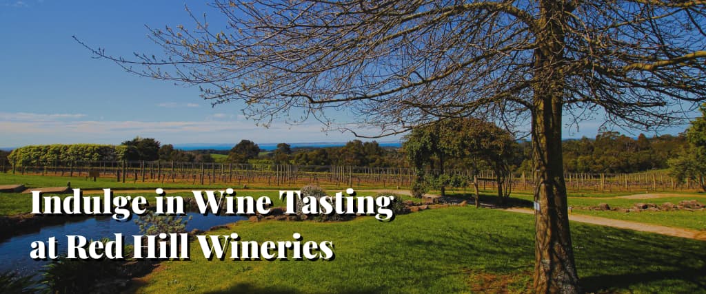 Indulge in Wine Tasting at Red Hill Wineries