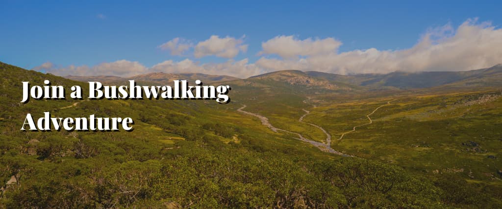 Join a Bushwalking Adventure