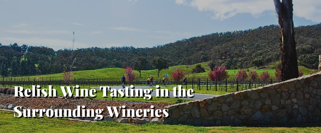 Relish Wine Tasting in the Surrounding Wineries