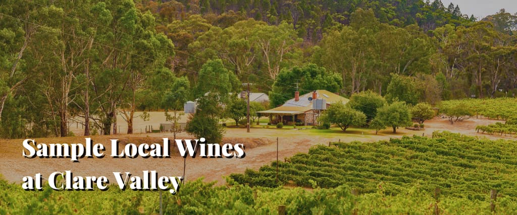 Sample Local Wines at Clare Valley
