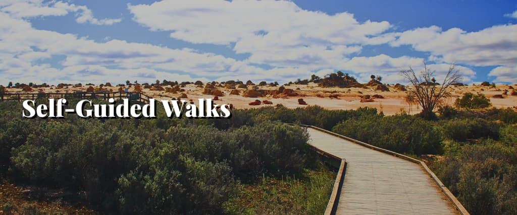Self-Guided Walks