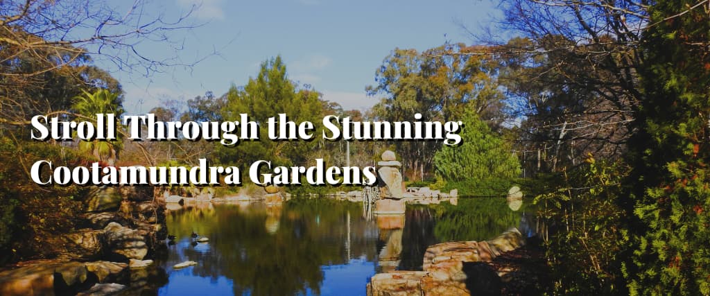 Stroll Through the Stunning Cootamundra Gardens