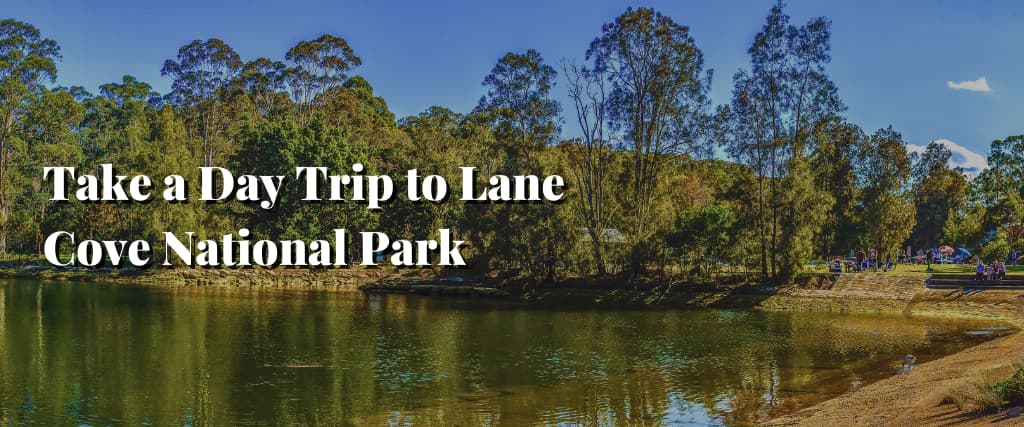 Take a Day Trip to Lane Cove National Park