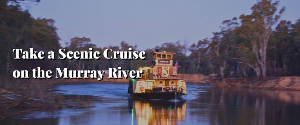 Take a Scenic Cruise on the Murray River