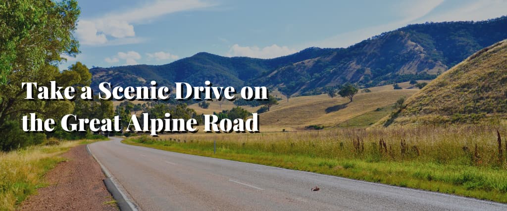 Take a Scenic Drive on the Great Alpine Road