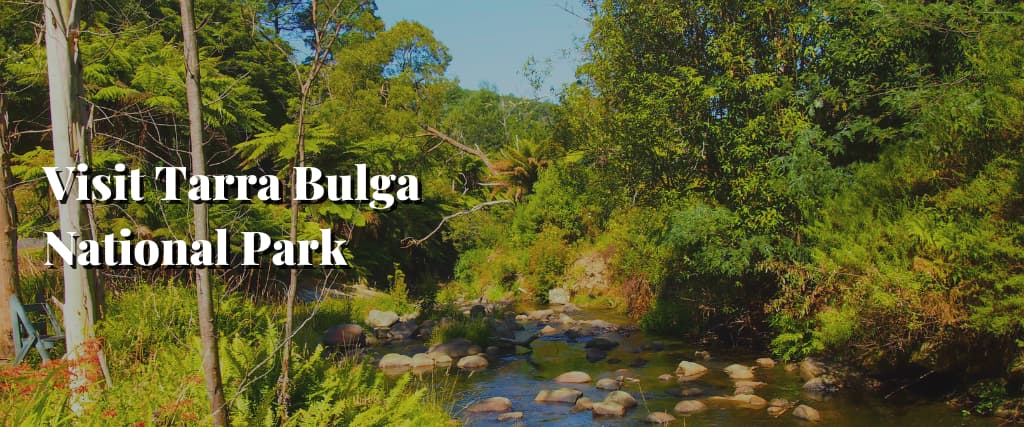 Visit Tarra Bulga National Park