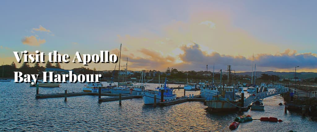 Visit the Apollo Bay Harbour