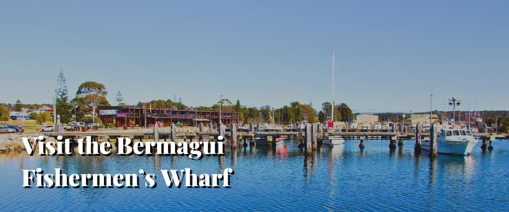 Visit the Bermagui Fishermen’s Wharf