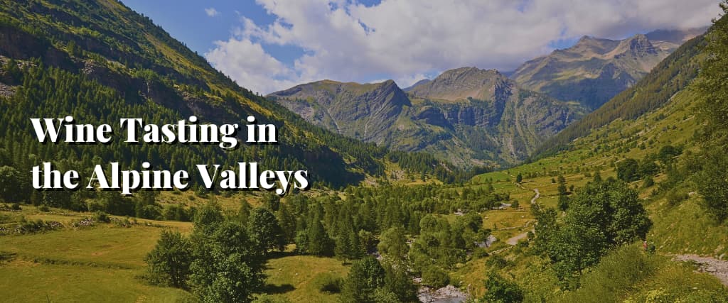 Wine Tasting in the Alpine Valleys