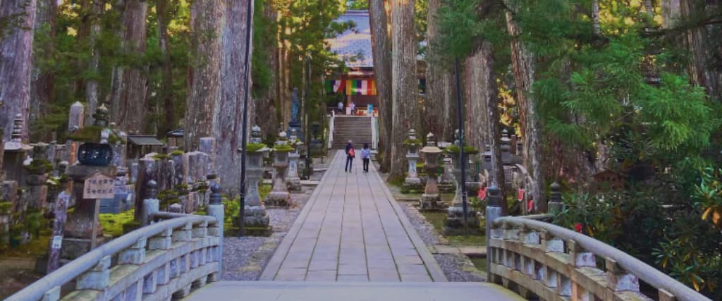20 Must-Visit Places in Japan
