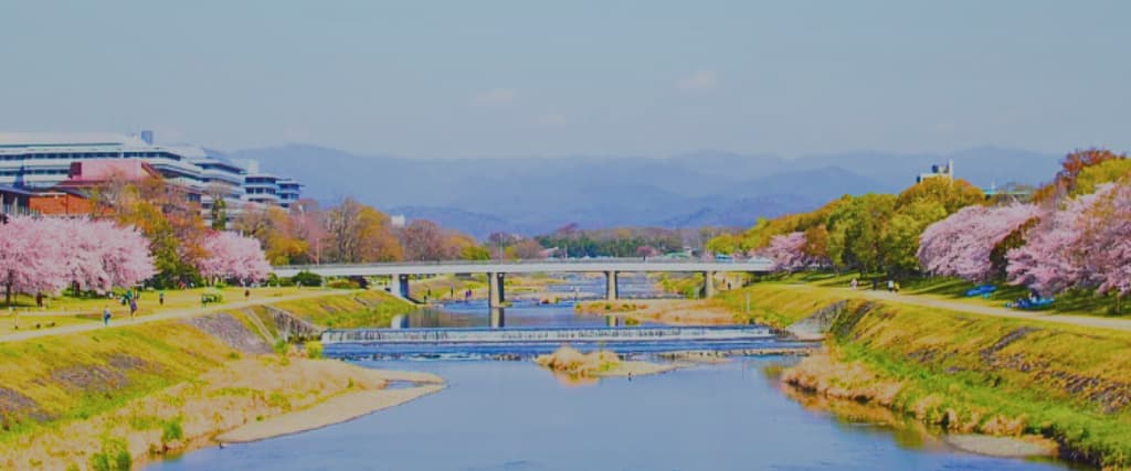 23 of the Best Things to do in Japan23 of the Best Things to do in Japan