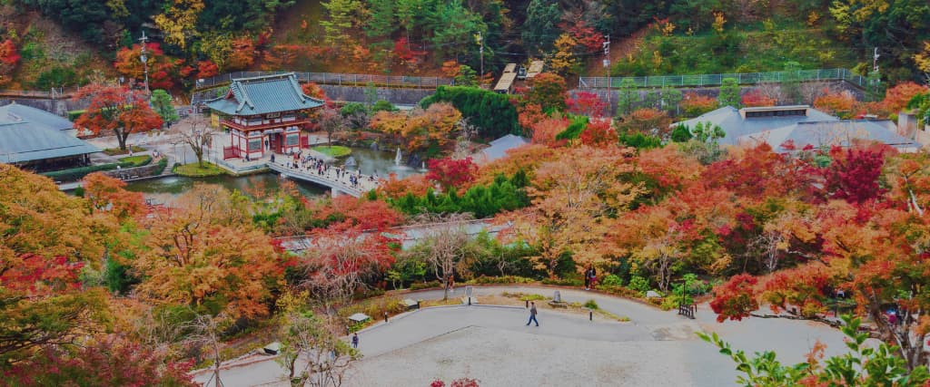 3. Stroll Through the Tranquil Beauty of Katsuo-ji Temple