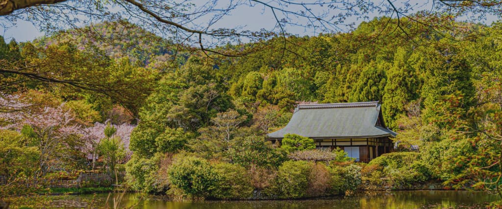 5. Visit Kinkaku-ji (The Golden Pavilion) and Ryoan-ji Temple