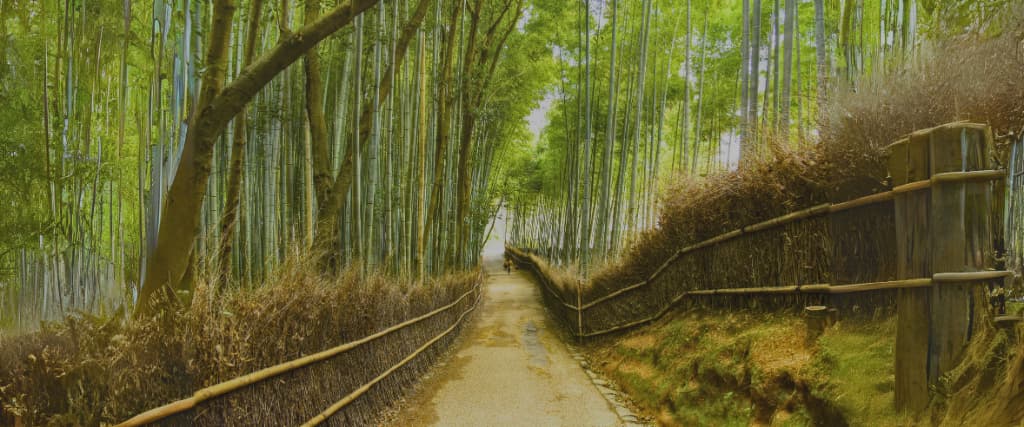 23 of the Best Things to do in Japan