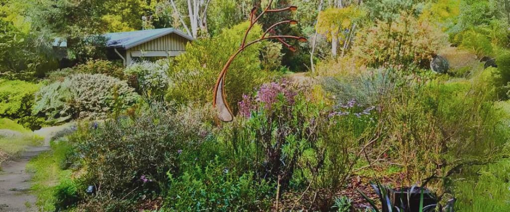 Best Melbourne gardens, four favourite places to visit.